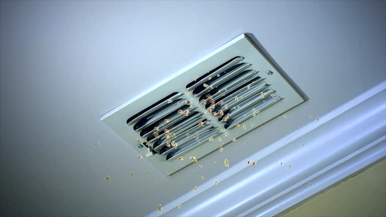Best Home Air Vent Cleaning  in Granville, WV